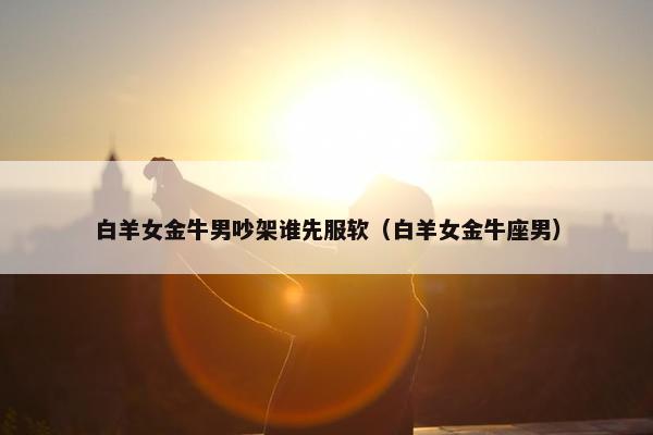白羊女金牛男吵架谁先服软（白羊女金牛座男）