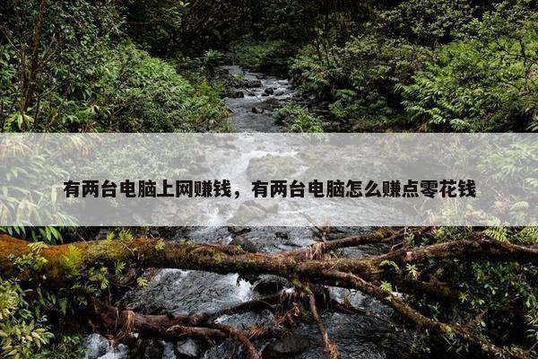 有两台电脑上网赚钱，有两台电脑怎么赚点零花钱