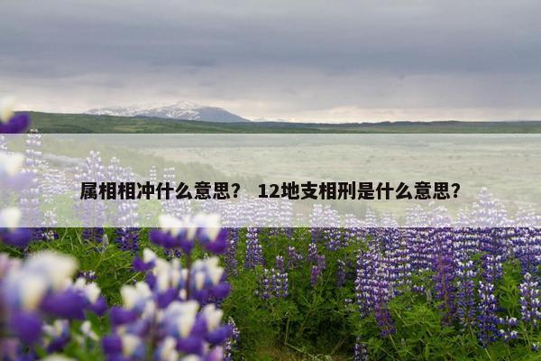 属相相冲什么意思？ 12地支相刑是什么意思？