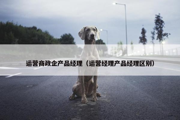 运营商政企产品经理（运营经理产品经理区别）