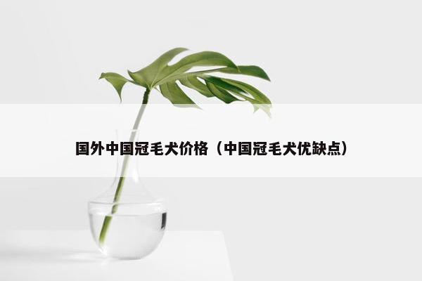 国外中国冠毛犬价格（中国冠毛犬优缺点）