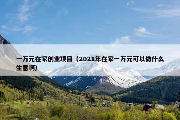 一万元在家创业项目（2021年在家一万元可以做什么生意啊）