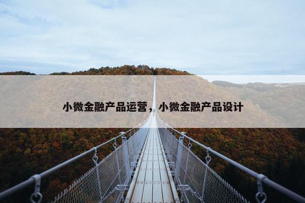 小微金融产品运营，小微金融产品设计