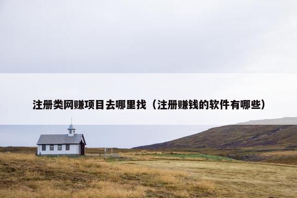 注册类网赚项目去哪里找（注册赚钱的软件有哪些）