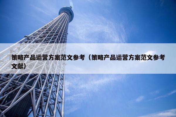 策略产品运营方案范文参考（策略产品运营方案范文参考文献）