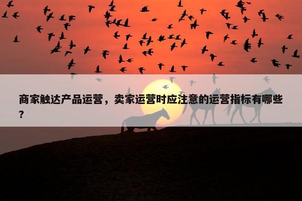 商家触达产品运营，卖家运营时应注意的运营指标有哪些?