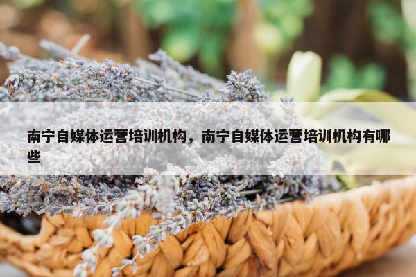 南宁自媒体运营培训机构，南宁自媒体运营培训机构有哪些