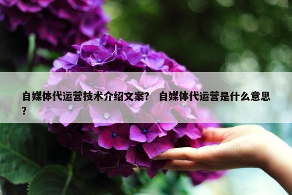 自媒体代运营技术介绍文案？ 自媒体代运营是什么意思？