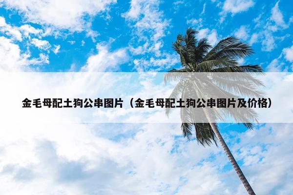 金毛母配土狗公串图片（金毛母配土狗公串图片及价格）