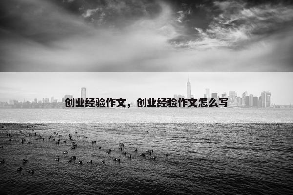 创业经验作文，创业经验作文怎么写