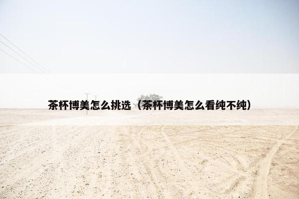 茶杯博美怎么挑选（茶杯博美怎么看纯不纯）