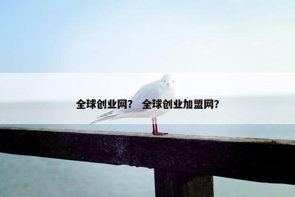 全球创业网？ 全球创业加盟网？