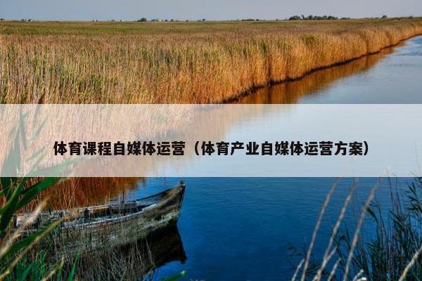 体育课程自媒体运营（体育产业自媒体运营方案）