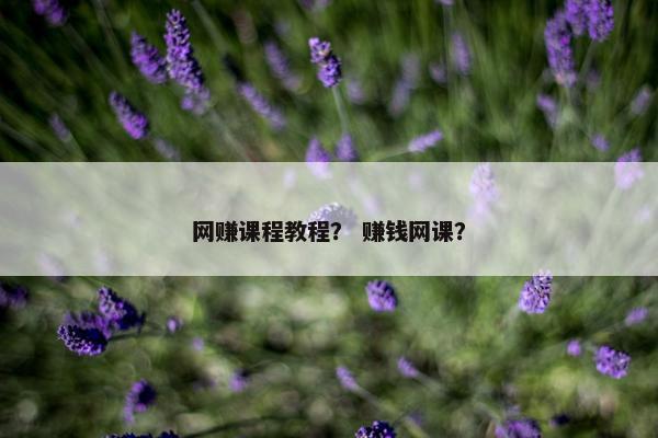 网赚课程教程？ 赚钱网课？