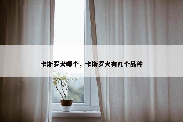卡斯罗犬哪个，卡斯罗犬有几个品种