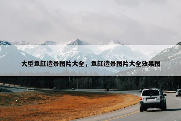 大型鱼缸造景图片大全，鱼缸造景图片大全效果图