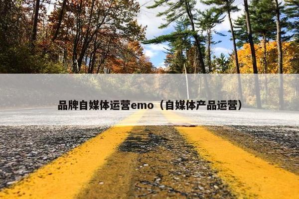品牌自媒体运营emo（自媒体产品运营）