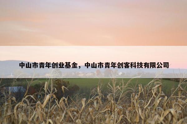 中山市青年创业基金，中山市青年创客科技有限公司