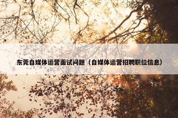 东莞自媒体运营面试问题（自媒体运营招聘职位信息）