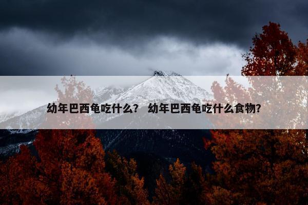 幼年巴西龟吃什么？ 幼年巴西龟吃什么食物？
