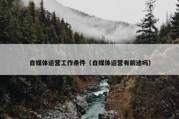 自媒体运营工作条件（自媒体运营有前途吗）
