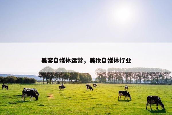 美容自媒体运营，美妆自媒体行业