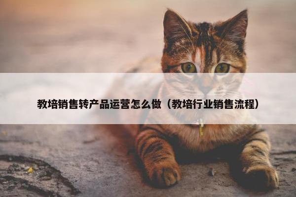 教培销售转产品运营怎么做（教培行业销售流程）