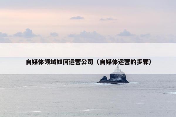 自媒体领域如何运营公司（自媒体运营的步骤）