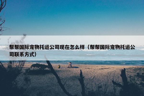帮帮国际宠物托运公司现在怎么样（帮帮国际宠物托运公司联系方式）