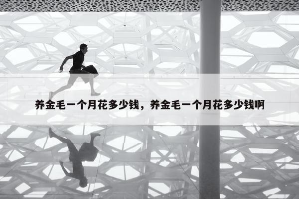 养金毛一个月花多少钱，养金毛一个月花多少钱啊