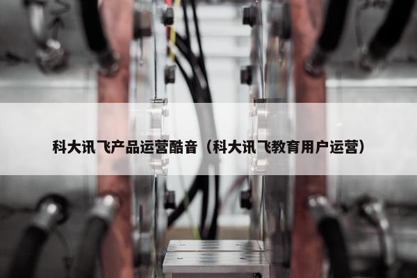 科大讯飞产品运营酷音（科大讯飞教育用户运营）