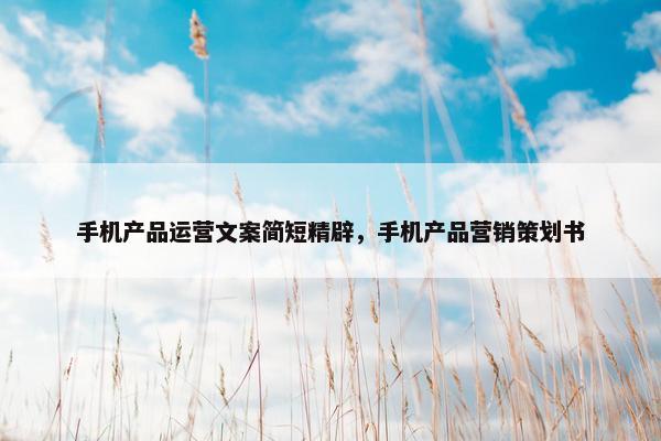 手机产品运营文案简短精辟，手机产品营销策划书
