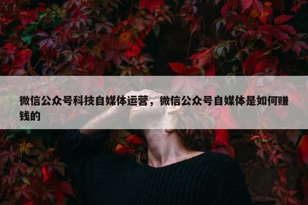 微信公众号科技自媒体运营，微信公众号自媒体是如何赚钱的