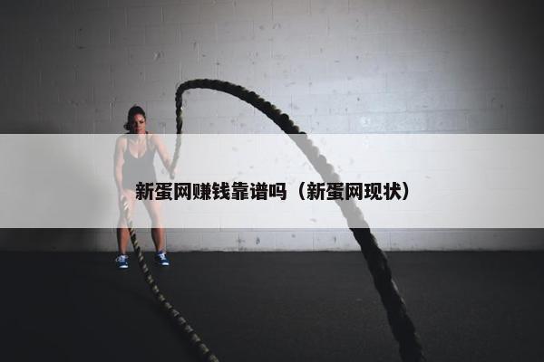 新蛋网赚钱靠谱吗（新蛋网现状）
