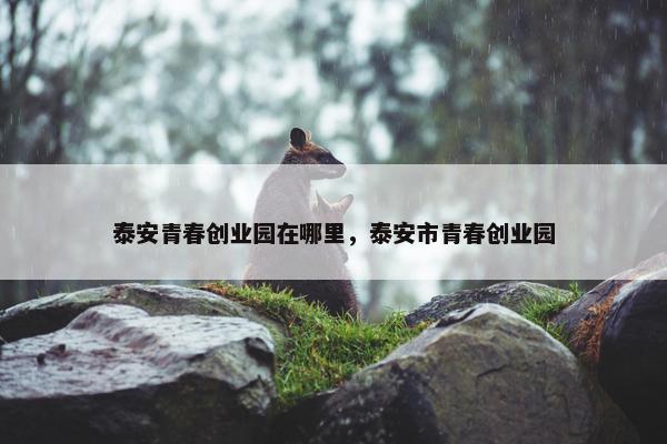 泰安青春创业园在哪里，泰安市青春创业园