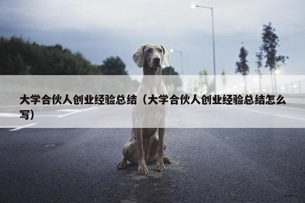 大学合伙人创业经验总结（大学合伙人创业经验总结怎么写）