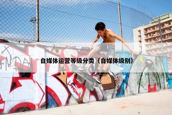 自媒体运营等级分类（自媒体级别）