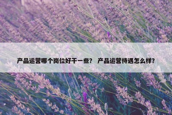 产品运营哪个岗位好干一些？ 产品运营待遇怎么样？