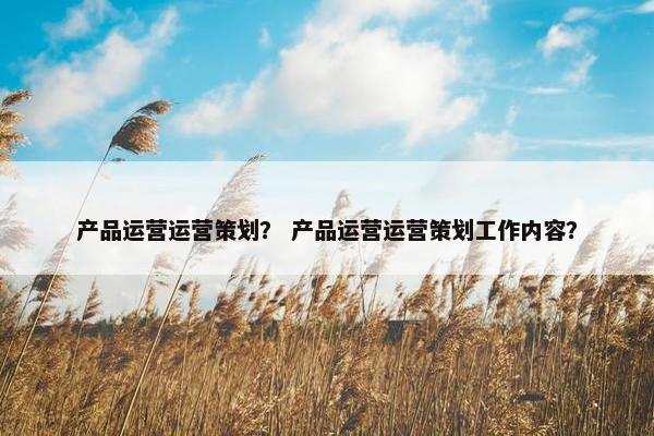 产品运营运营策划？ 产品运营运营策划工作内容？