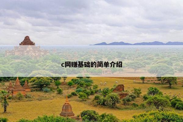 c网赚基础的简单介绍