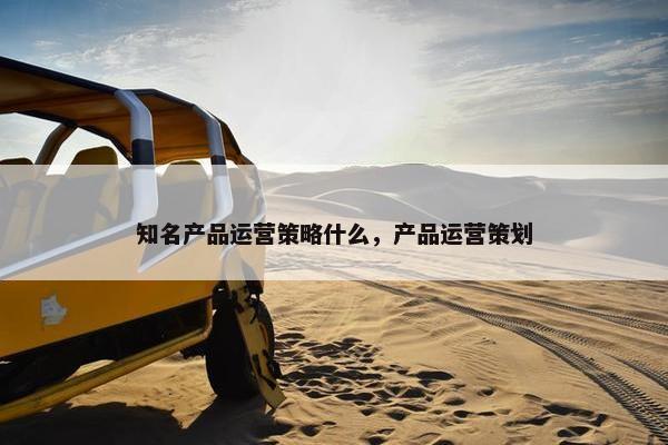 知名产品运营策略什么，产品运营策划