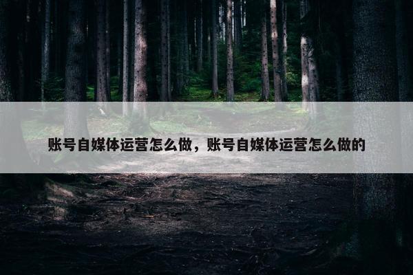 账号自媒体运营怎么做，账号自媒体运营怎么做的