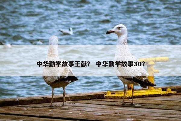 中华勤学故事王献？ 中华勤学故事30？