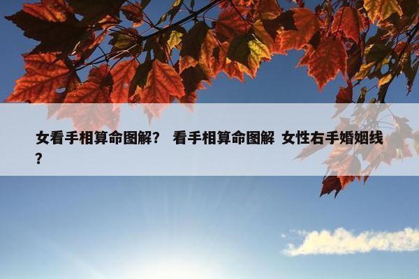 女看手相算命图解？ 看手相算命图解 女性右手婚姻线？