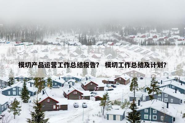 模切产品运营工作总结报告？ 模切工作总结及计划？