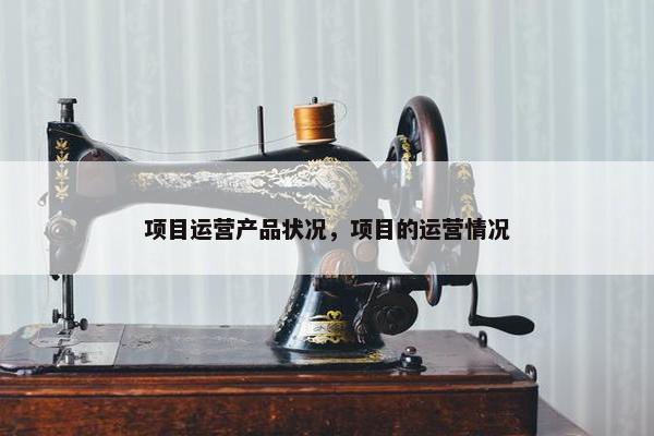 项目运营产品状况，项目的运营情况