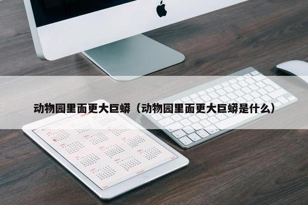 动物园里面更大巨蟒（动物园里面更大巨蟒是什么）