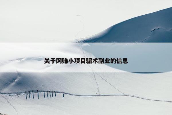 关于网赚小项目骗术副业的信息