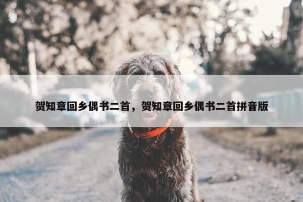 贺知章回乡偶书二首，贺知章回乡偶书二首拼音版