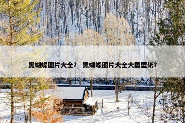 黑蝴蝶图片大全？ 黑蝴蝶图片大全大图壁纸？